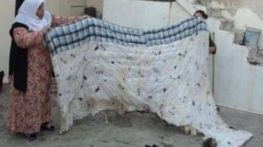 G&uuml;nde 6 kez evleri yanıyor