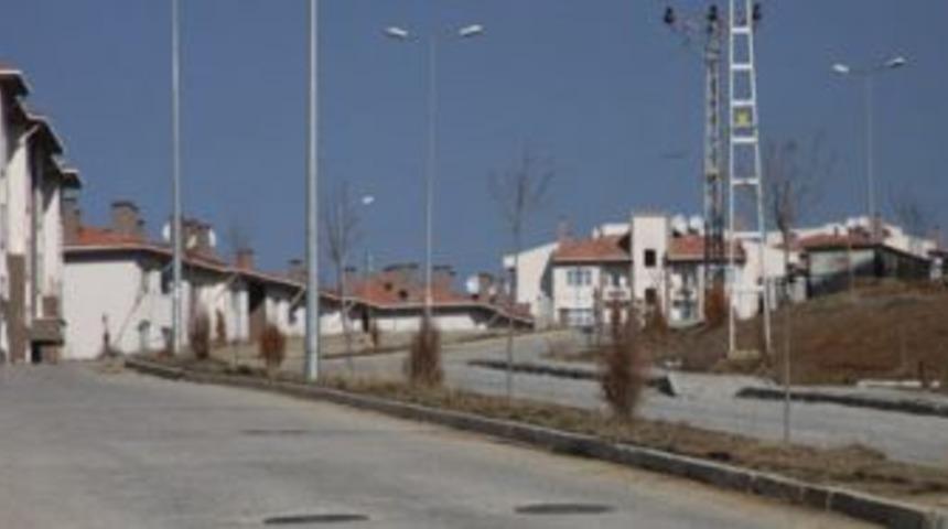 &Ccedil;ayda &Ccedil;ıra Mahallesi&rsquo;nde ağa&ccedil;landırma