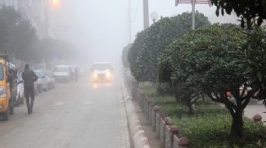Kemalpaşa&rsquo;da Yoğun Sis Hayatı Fel&ccedil; Etti