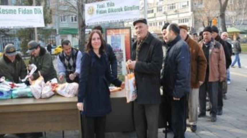 1 Yılda 9 Milyon Fidan Toprakla Buluştu