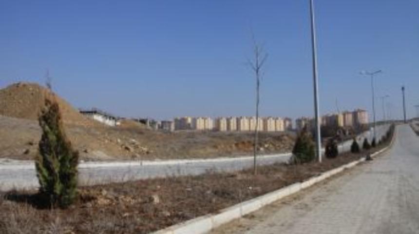 &Ccedil;ayda &Ccedil;ıra Mahallesi'nde Ağa&ccedil;landırma &Ccedil;alışması