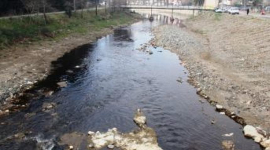 Edremit &Ccedil;ayı Siyah Akıyor