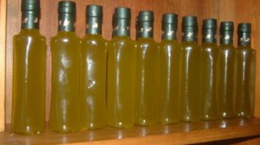 Burhaniye’de Aromalı Zeytinyağı Üretimi Başladı