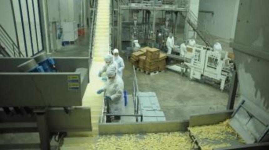 Patateste Kriz Konya&rsquo;ya Uğramadı