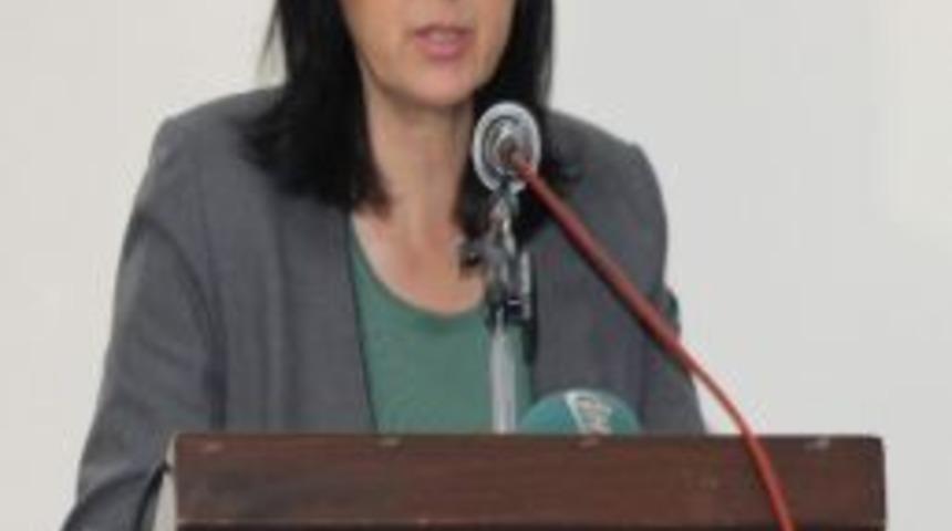 Bdp'li Aydoğan&rsquo;dan İmralı G&ouml;r&uuml;şmeleri Yorumu