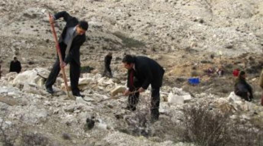 Ga&uuml;n &Ouml;ğrencilerinden Ağa&ccedil; Dikme Etkinliği