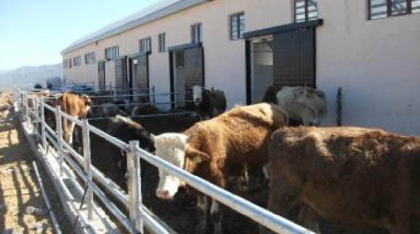 Yozgat Tkdk İşlemi Biten 12 Projeye 7 Milyon Lira Hibe Destek Sağladı