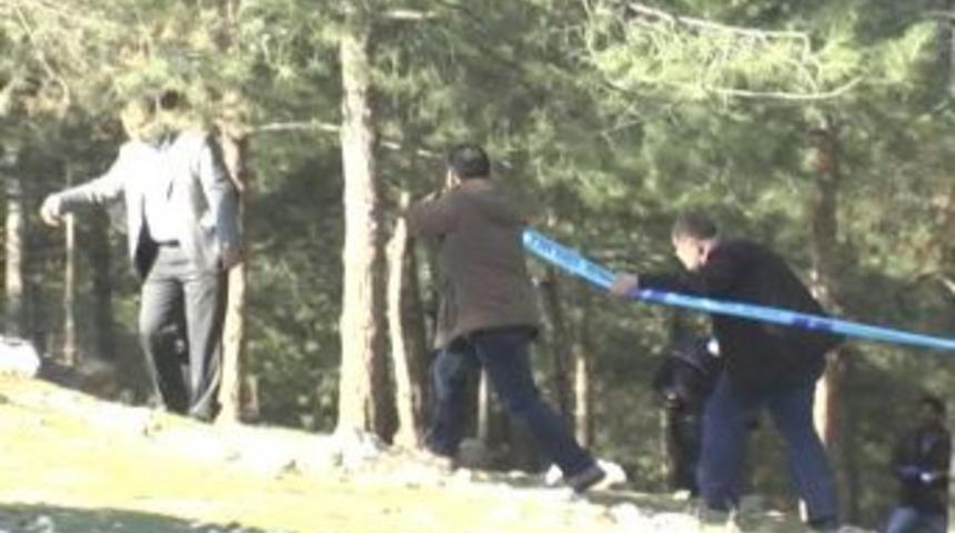 Ormanlık alanda dinamit bulundu