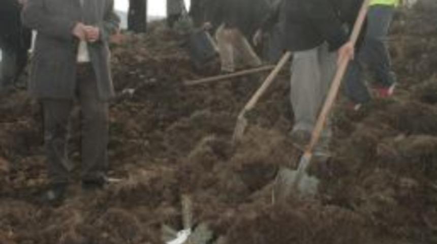 Yozgat Belediyesi Ağa&ccedil;landırma &Ccedil;alışmalarını S&uuml;rd&uuml;r&uuml;yor