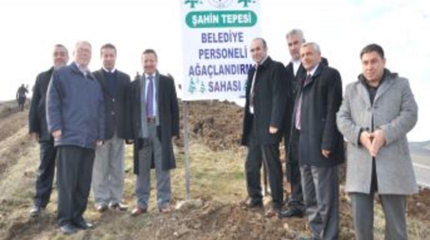 Yozgat Belediyesi Şahin Tepesi'nde 90 D&ouml;n&uuml;ml&uuml;k Alanı Ağa&ccedil;landırdı