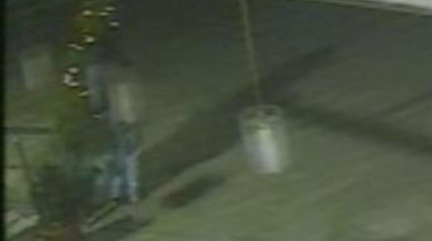 Yılbaşı &Ccedil;amını Taşıyamayınca &Ccedil;almaktan Vazge&ccedil;ti