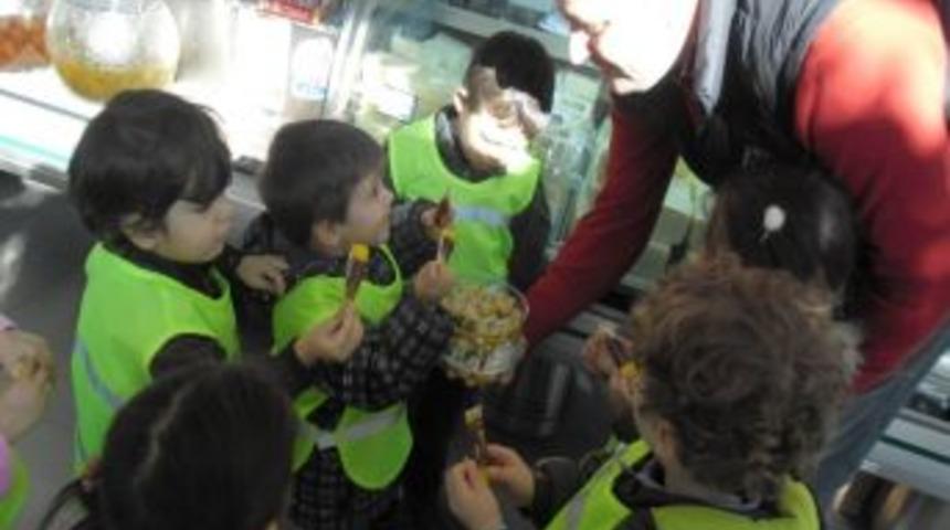 Maviler Sınıfı, Mandıraları Ziyaret Etti