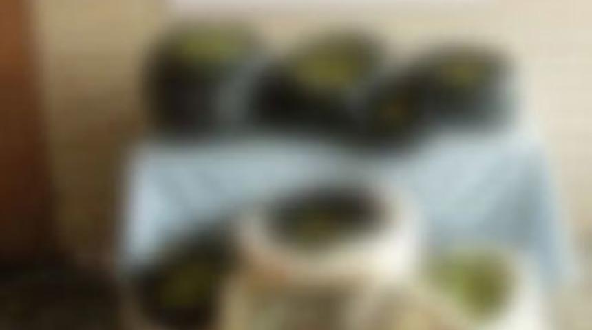 Hakkari'de 73 kilo esrar bulundu