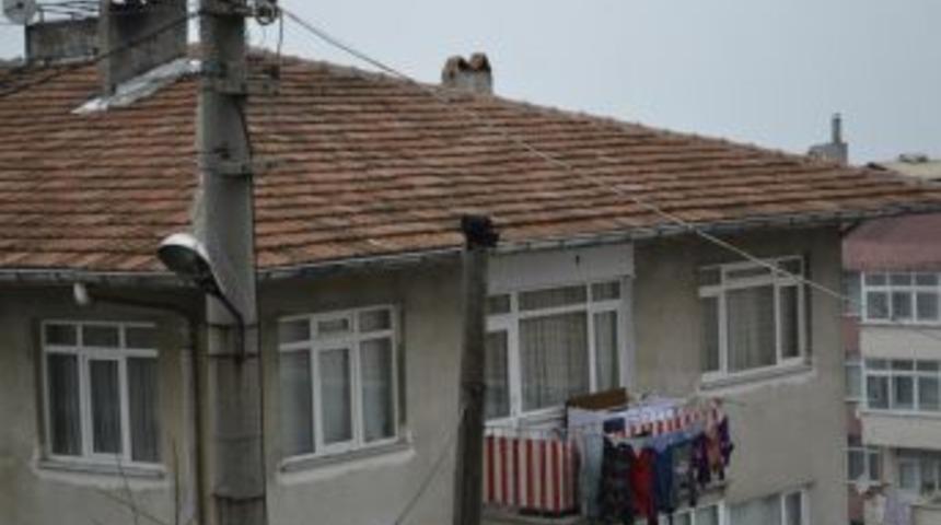 Kedi direkte mahsur kaldı