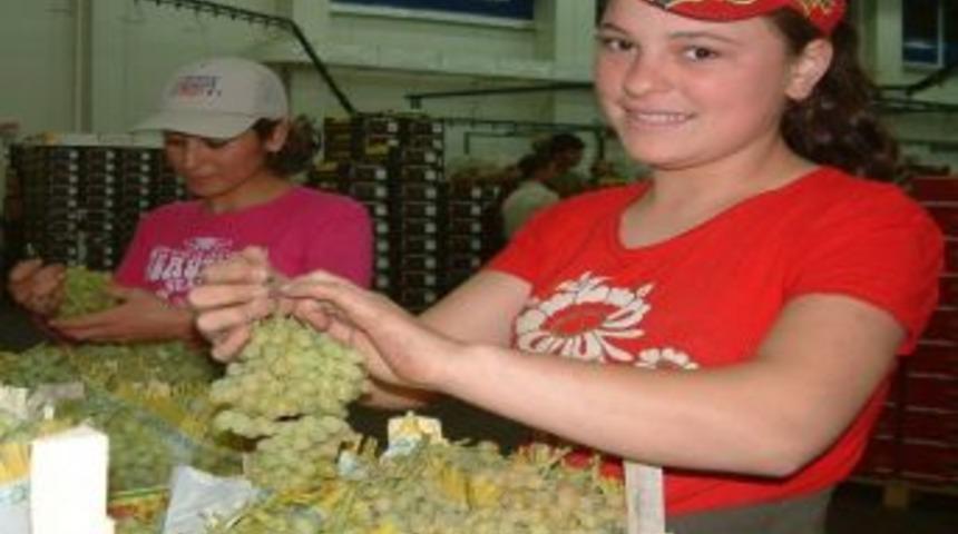 Alaşehir'in İhracatı Artmaya Devam Ediyor