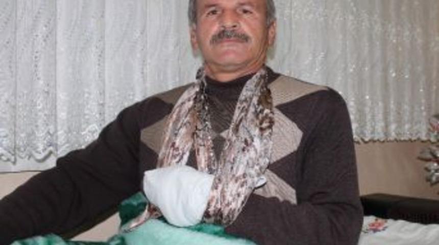 Yaban Domuzunun Saldırdığı &Ccedil;ift&ccedil;i Yaralandı