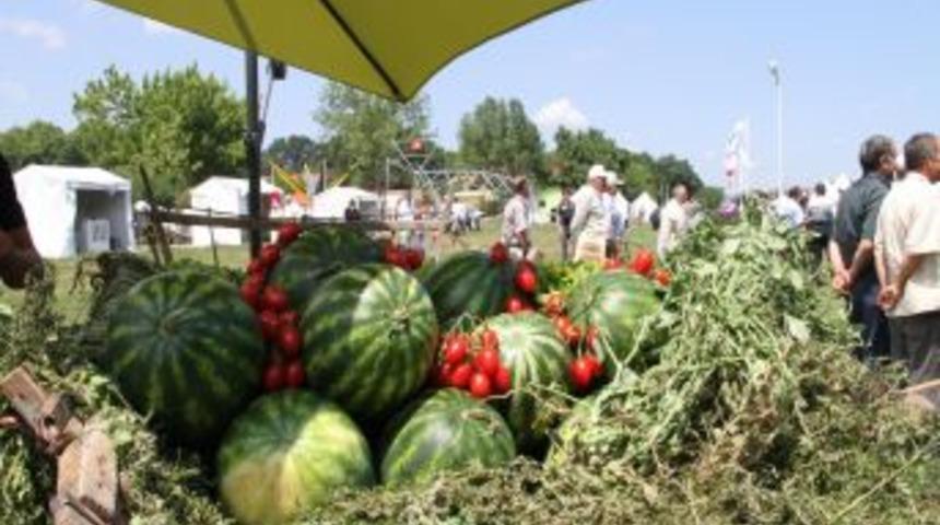 Kırsal Kalkınmaya 1 Milyar Euroluk AB Desteği