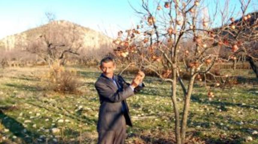 G&ouml;lbaşı Ziraat Odasından Tarım Danışmanlığı