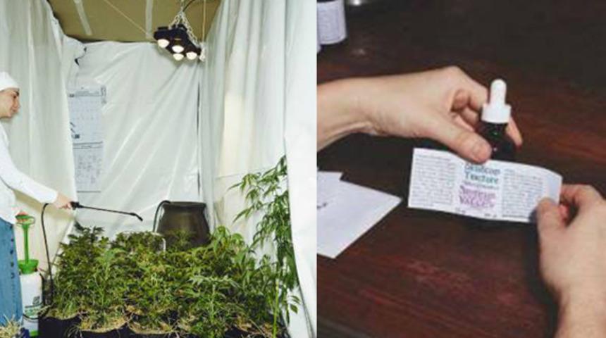 İddialarına göre dünyayı iyileştirmek amacıyla tıbbi esrar yetiştiren rahibeler