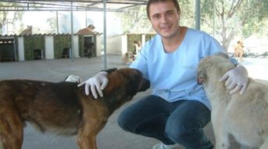 Yılın Veterineri Sazak Sivas Yolcusu