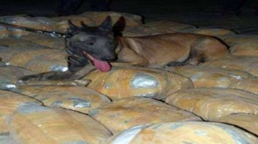Aydın Polisi 2012&rsquo;deki Başarısıyla Ge&ccedil;en 5 Yılı Geride Bıraktı