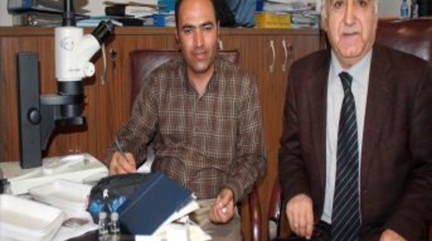 T&uuml;rkiye'de Biyolojik M&uuml;cadelede Kullanılabilecek 50 Yeni B&ouml;cek T&uuml;r&uuml; Keşfedildi