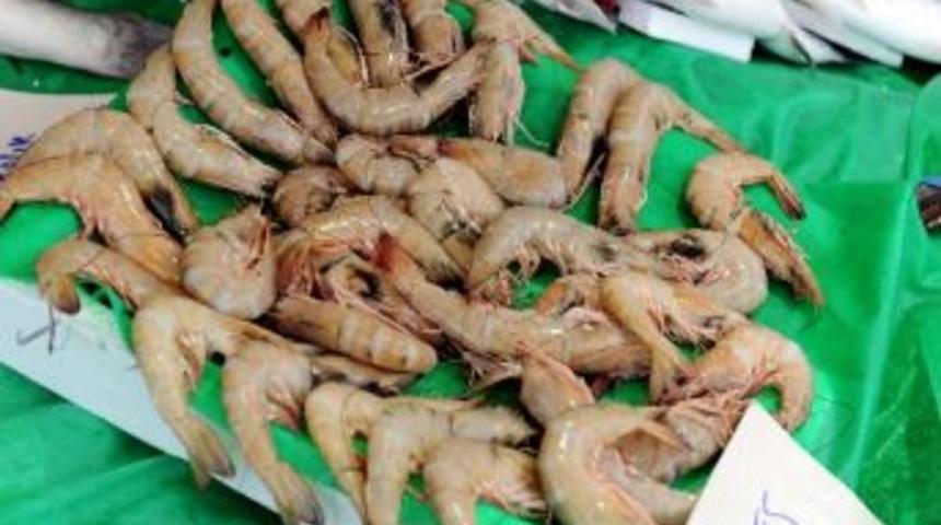 (&ouml;zel Haber) D&uuml;nya Bulamıyor, Biz Yem Yapıyoruz