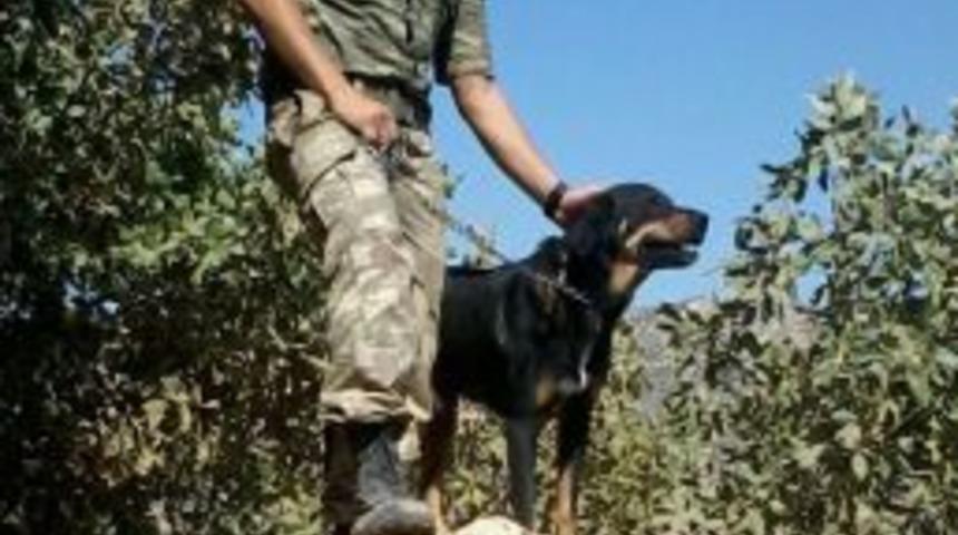 Şehit Er İsmail Ak&ccedil;a'nın Ismi Kuşadası'nda Bir Sokağa Verilecek