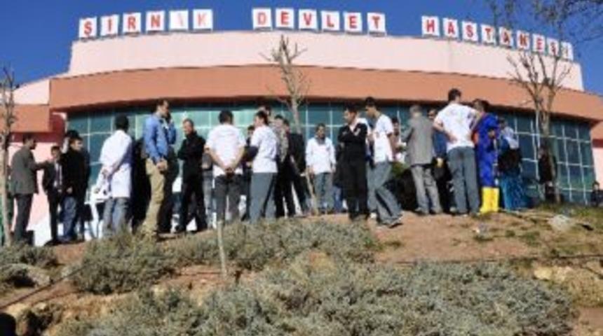 Şırnak'ta Yeşillendirme &Ccedil;alışmaları