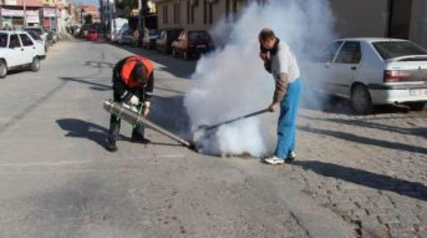 Burhaniye&rsquo;de Sivrisinek M&uuml;cadelesi