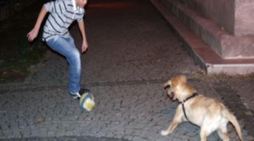 Futbolcu K&ouml;pek, Perfonmansıyla Parmak Isırtıyor