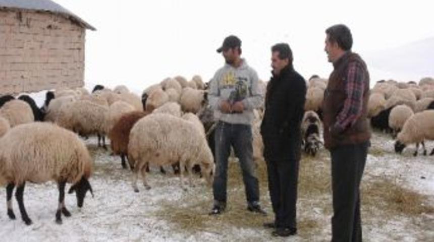 K&ouml;yl&uuml;lerin Kış &Ccedil;ilesi