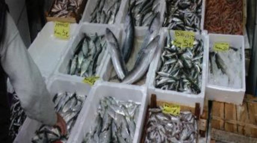 Hangi Mevsimde Hangi Balık Yenir