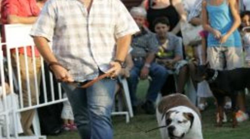 Karşıyaka&rsquo;da Hayvanlara &ldquo;&ccedil;ipli&rdquo; Takip