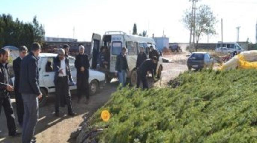 Hilvan'da Fidan Dağıtımı