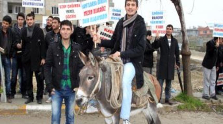 &Uuml;niversiteliler Ulaşım Sorununa Eşekle &Ccedil;&ouml;z&uuml;m Buldu