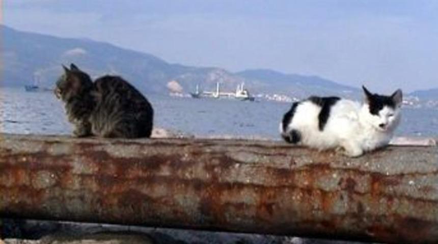 Kar &Ouml;ncesi Bandırmalılar G&uuml;neşin Tadını &Ccedil;ıkardı