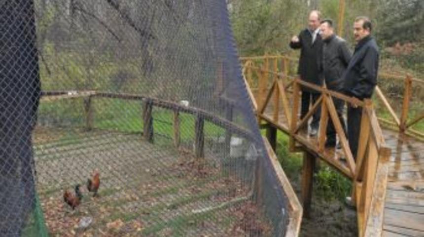 Vali Aksoy Eşiyle Birlikte, &Ccedil;akırlar Korusu'nu Gezdi