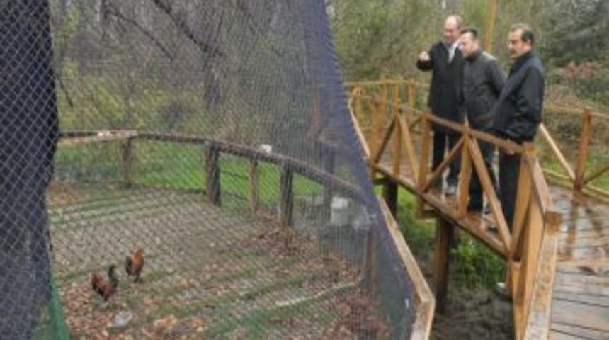 Vali Aksoy, &Ccedil;akırlar'ı Gezdi