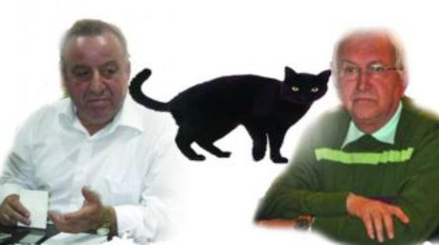 Aralarına 'KARA KEDİ' girdi!..