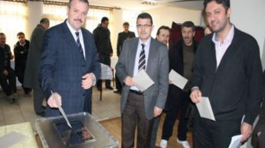 Aktif Eğitimciler, Sandık Başına Gitti