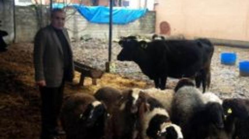 Mhp'li Atar: "hayvancılık Politikası Fiyaskoyla Sonu&ccedil;landı"