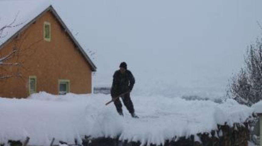 Yedisu Kara G&ouml;m&uuml;ld&uuml;