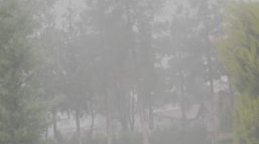 Araban Yoğun Sise Teslim Oldu