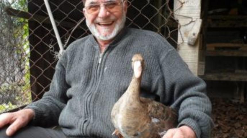 Yaban Kazına onbeş yıldır bakıyor