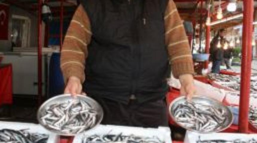 Giresun'da Hamsinin Fiyatı El Yakıyor