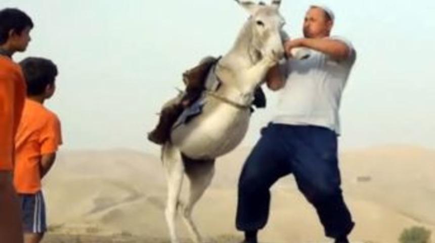 Sırtında Eşekle Antrenman Yapıyor