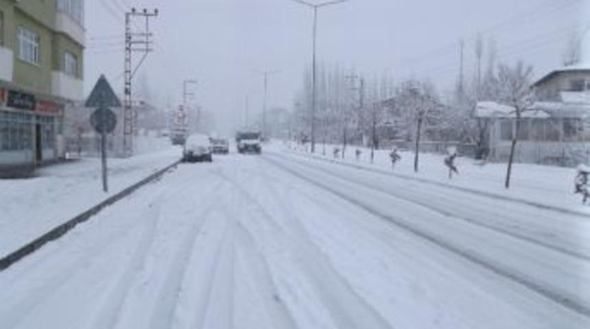 Hizan Beyaza B&uuml;r&uuml;nd&uuml;