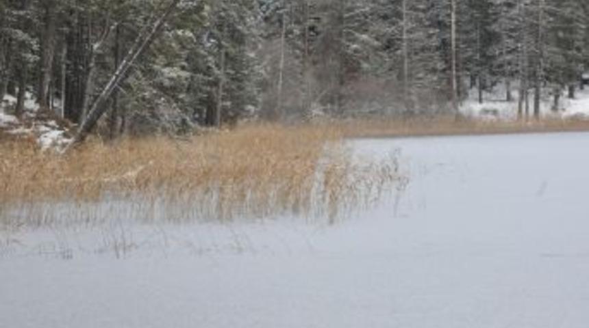 Abant G&ouml;l&uuml; Buz Tuttu