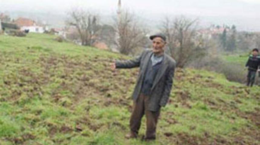 Aydın'da domuzlar k&ouml;y&uuml; istila etti